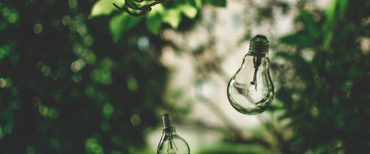 light-bulb-2598469_1920